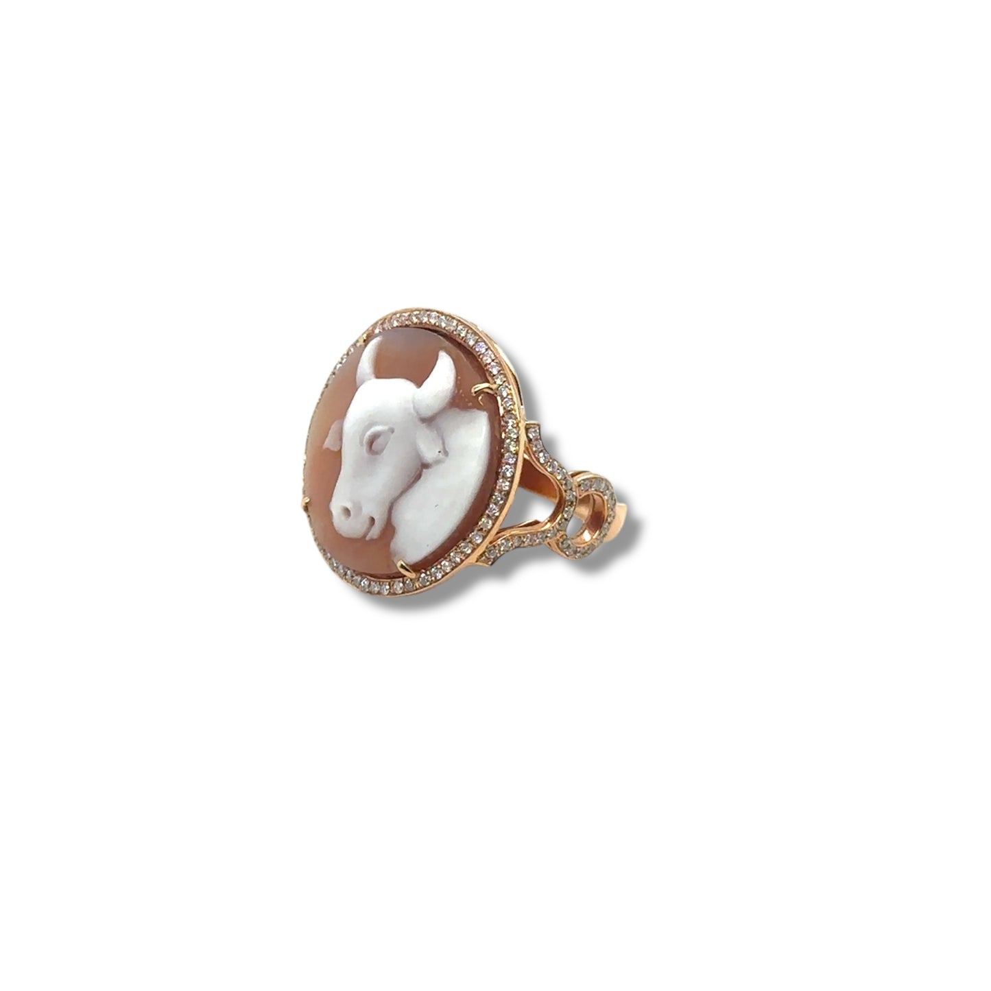 Taurus in Rose