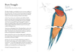 Dumb Birds Field Guide to the Worst Birds Ever