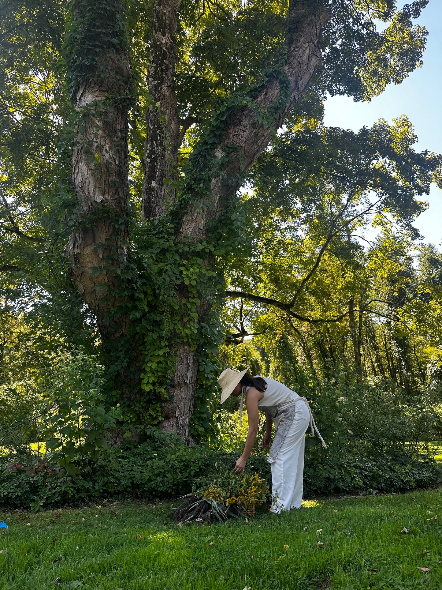 OCT. 6 Fall Floral Day Retreat In Sherman, CT