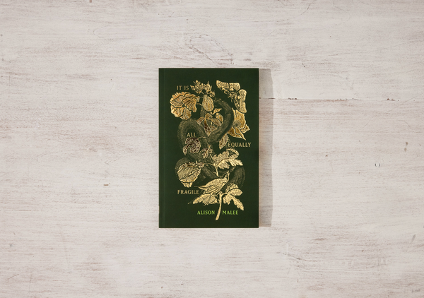 It Is All Equally Fragile - poetry book
