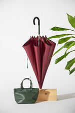 EZPELETA Smooth Auto Umbrella with design details