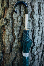 EZPELETA Smooth Auto Umbrella with design details