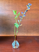 Apothecary  Vase
