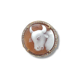 Taurus in Rose