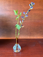 Apothecary  Vase