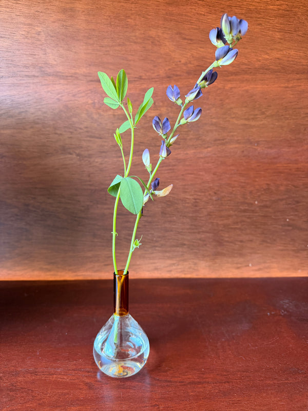 Apothecary  Vase