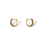 Dragon Scale Hoops
