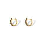 Dragon Scale Hoops
