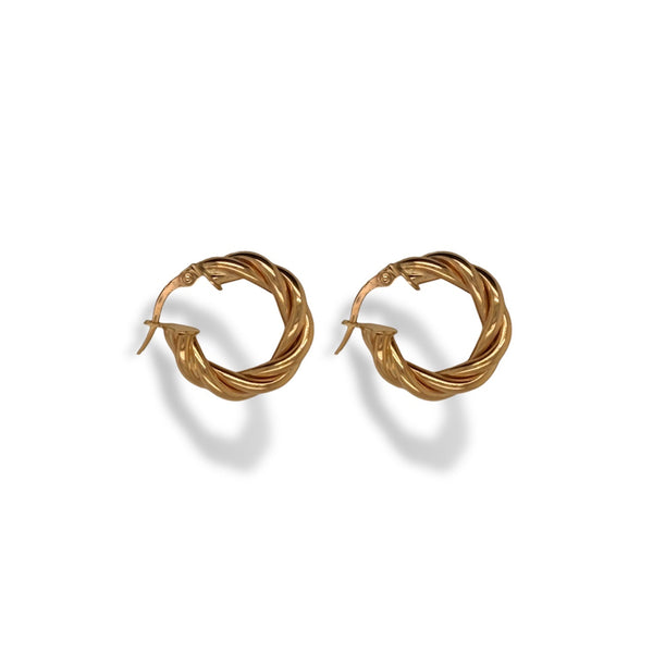 Twisted Circular Hoop