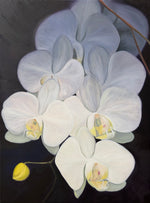 May 1st Art Opening