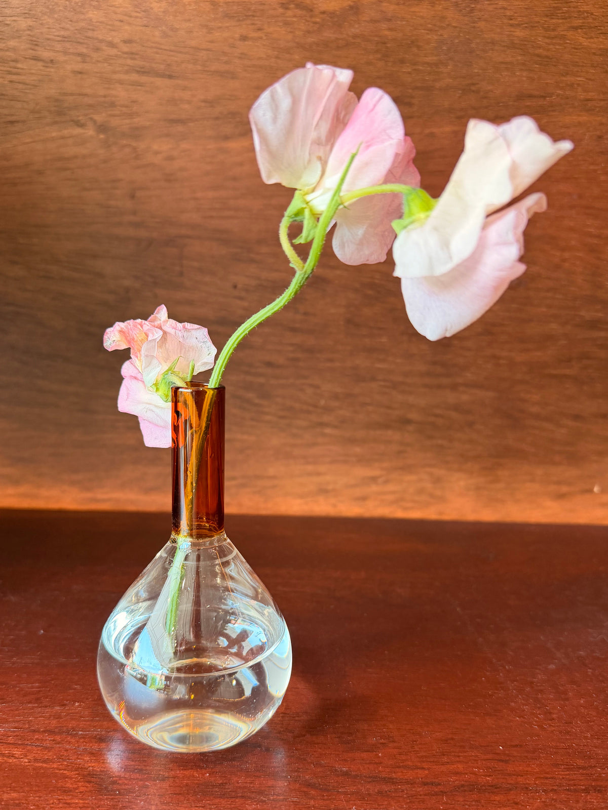 Apothecary  Vase