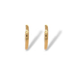 Crescent Moon Earrings