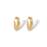 Crescent Moon Earrings