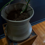 Large Planter and Drip Tray