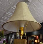 Moss Lamp