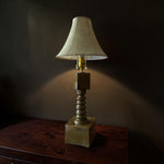 Moss Lamp