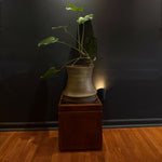 Large Planter and Drip Tray