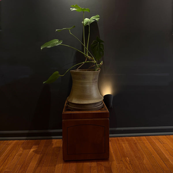 Large Planter and Drip Tray