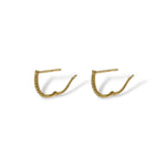 Gold Loop
