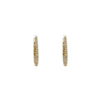Golden Light Inside Out Hoops
