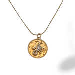 Capricorn medallion