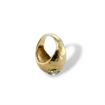Lunar Droplet Ring