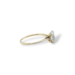 Delicate Oval Brilliant