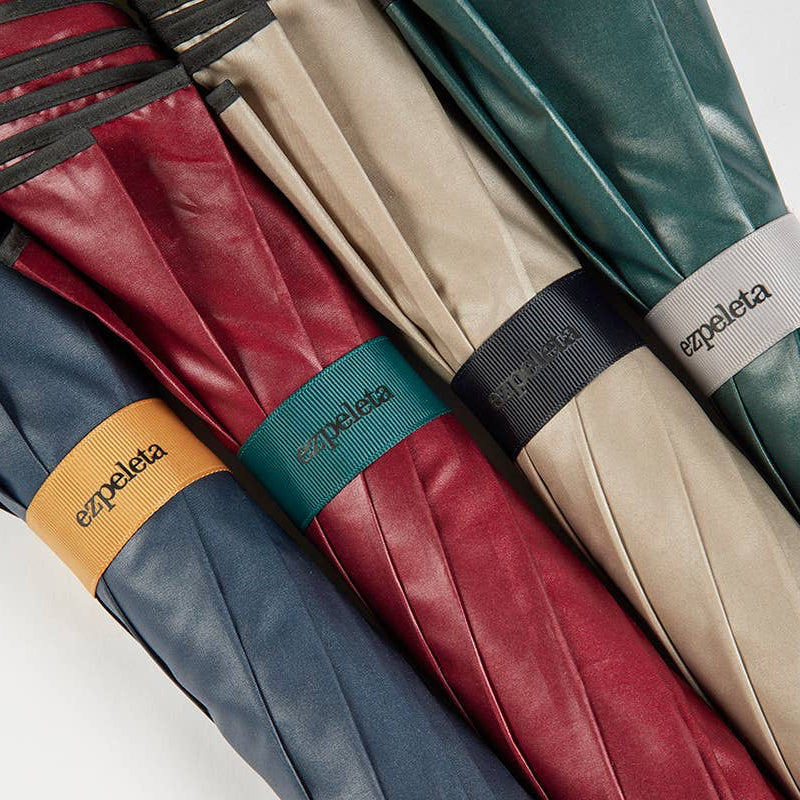 EZPELETA Smooth Auto Umbrella with design details