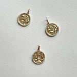 The GEMINI Charm
