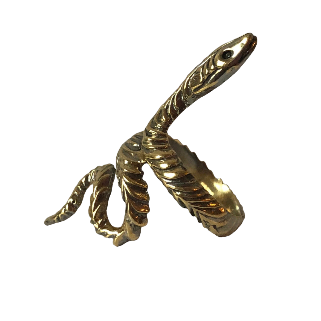 Side Profile of Snake Ring